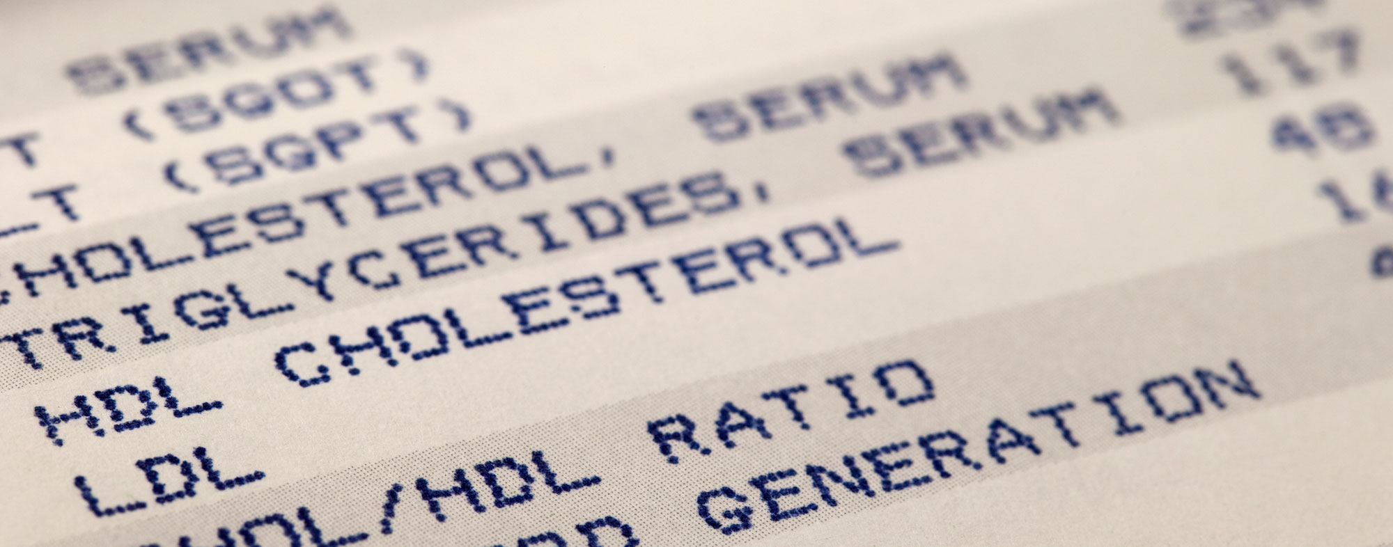 Detailaufnahme eines medizinischen Laborberichts mit Cholesterinwerten.